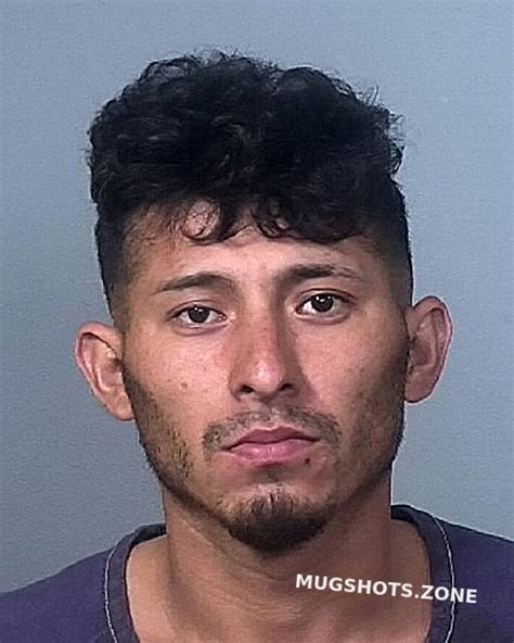 VASQUEZ GUZMAN JOSE J 02 07 2024 Manatee County Mugshots Zone