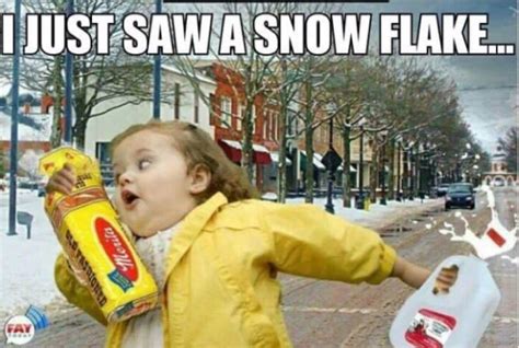 10 Hilarious Memes About Washingtonians And The Snow