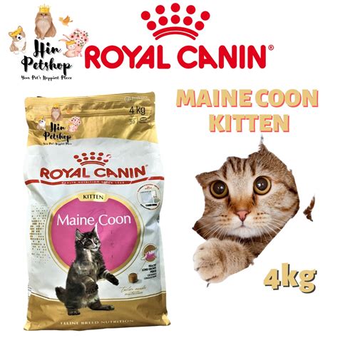 Jual Royal Canin Kitten Maine Coon Kg Freshpack Kg Makanan Kucing