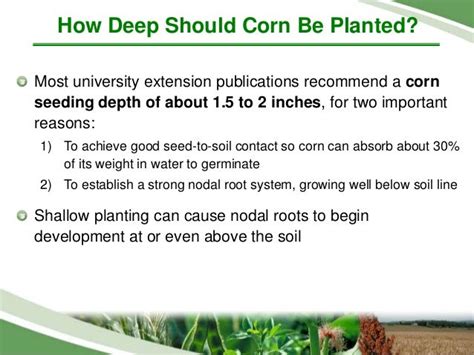 Corn Planting Depth