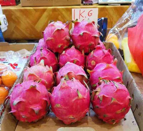 Dragon Fruit De Ma Passion Singapour Live