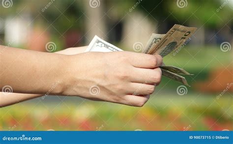 Woman Counting Money Stock Image Image Of Maths Currency 90073715