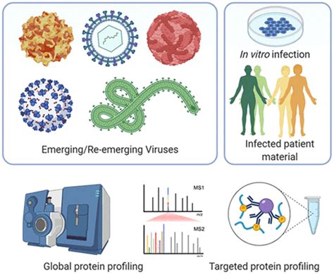 Infectious Diseases