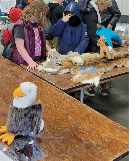 Kitsap Water Festival Flickr