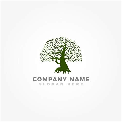 Plantilla de logotipo de árbol de roble para negocios Vector Premium