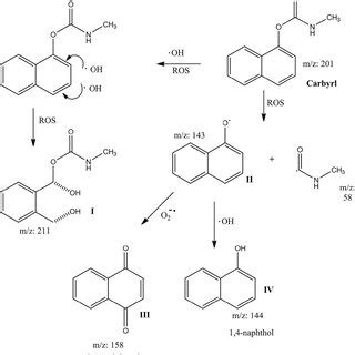 Proposed degradation pathway of carbaryl | Download Scientific Diagram