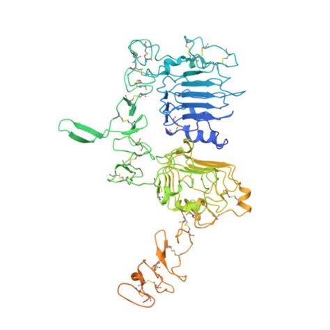 Gene P04626 Protein ERBB2 Overview CanSAR Ai