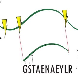 Schematic diagram of protein digestion | Download Scientific Diagram