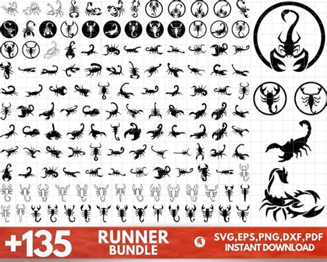 Scorpion Svg Bundle Scorpion Dxf Scorpion Png Scorpion Eps