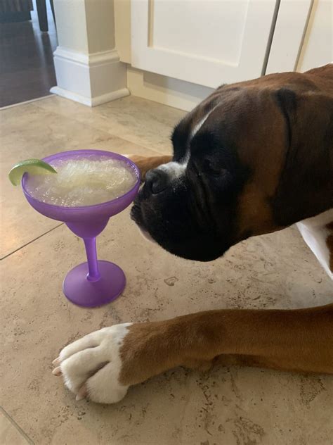 Great Science Fiction Books for Kids