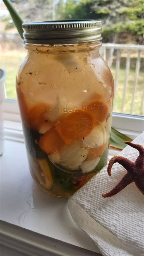 Starting My First Fermented Hot Sauce Wish Me Luck R FermentedHotSauce