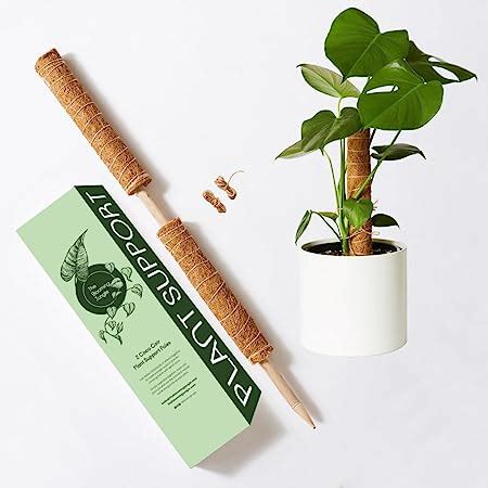 The Blooming Jungle Inch Plant Support Totem Pole Coco Coir