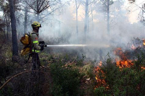 Catalunya En Alerta Per L Onada De Calor