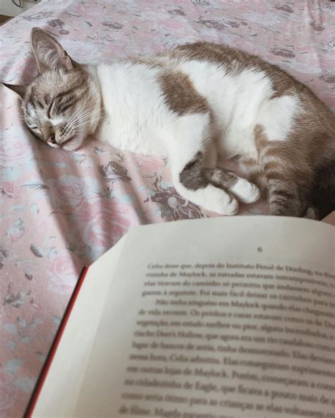 Quem A Companhia De Leitura De Voc S Esse Na Foto O Sushi Um