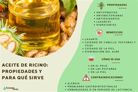 Beneficios Del Aceite De Castor Usos Y Propiedades Para La Salud