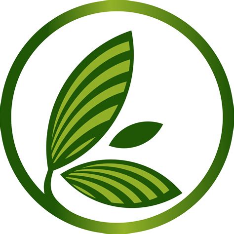 Органик Стрим Перекусы