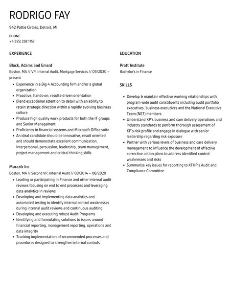 Vp Internal Audit Resume Samples Velvet Jobs