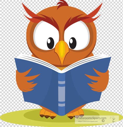 Transparent PNG Cute Owl Reading Book Transparent