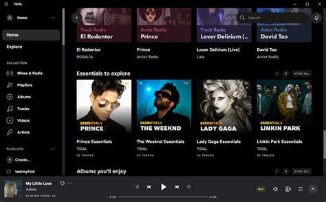 spotify  tidal  whatre  differences tunepat