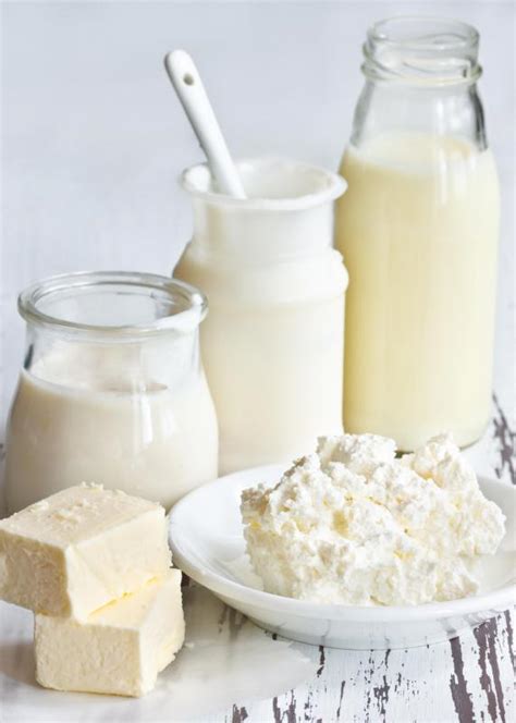 What Are the Different Types of Fermented Milk Products?