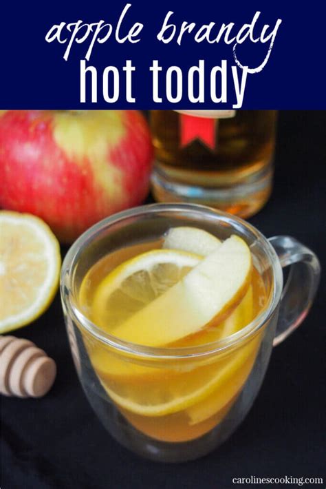 Hot Toddy Recipe Brandy Milk | Besto Blog