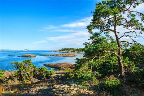 Fotokonst Natur Sk Rg Rd Klippa Sk R Vid Havet Sk Rg Rden Mats