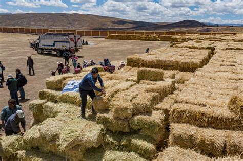 Midagri anuncia presupuesto de S 219 millones para atender déficit hídrico