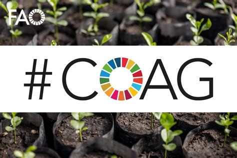 coag food  agriculture organization   united nations