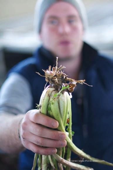 Radicchio Di Treviso Marinato Il Fiore D Inverno Il Fior Di Cappero