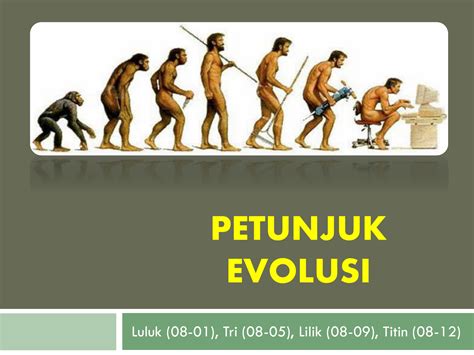 Evolusi