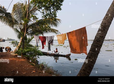 Backwaters in Kerala, India Stock Photo - Alamy