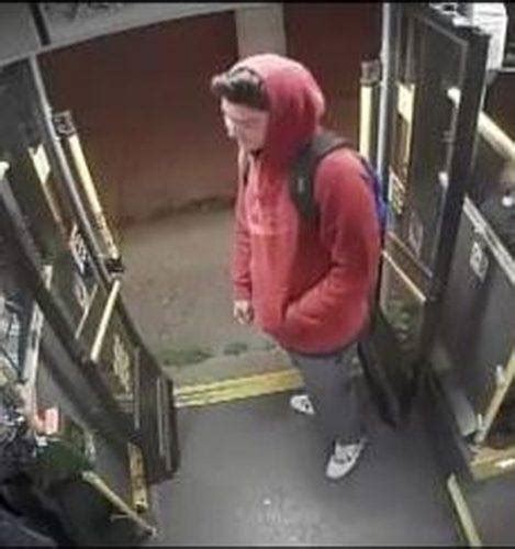 Woman Sexually Assaulted After Exiting Ttc Bus In Scarborough News