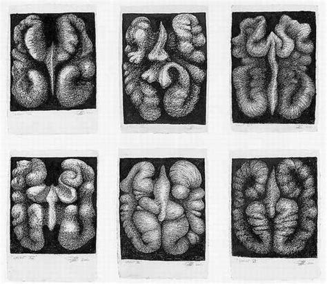 Peter Randall Page Individual Exhibitions 2000 Walnut Drawings