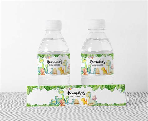 Dinosaur Water Bottle Sticker Template – Cuddle Palette