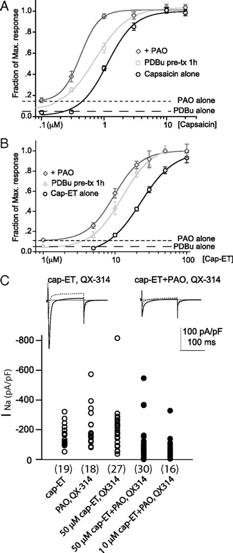 Activity Dependent Targeting Of Trpv1 With A Pore Permeating Capsaicin