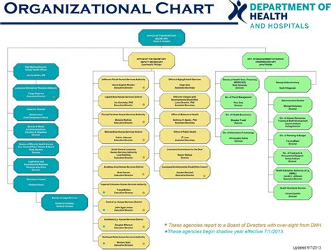 Hospital Organizational Chart Organizational Chart Public Private