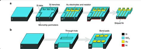 Illustration of the microfabrication process flow. a Microchip ...