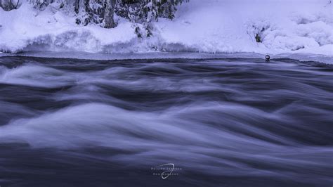 Fotoreise Winter In Finnisch Lappland Arr Reisen Natur Kultur Foto