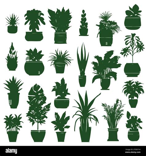 Collection Silhouettes Houseplants Potted Plants Isolated On White