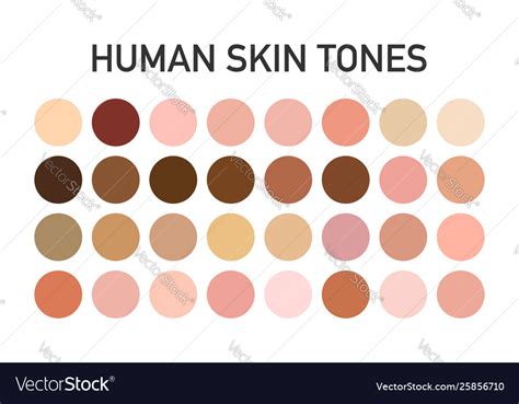 Human Skin Tone Color Palette Set Isolated On Vector Image