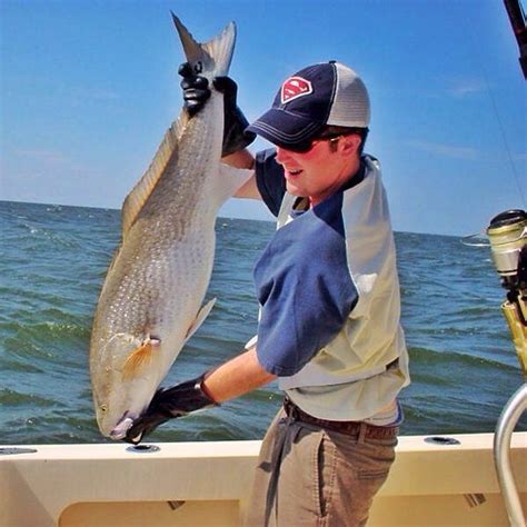 A Nice Red Drum Caught By My Friend Adam In The Pamlico So Flickr