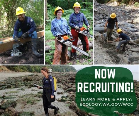 Washington Conservation Corps Recruiting For 300 Positions Statewide