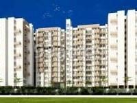 Bhk Apartment Flat For Sale In Ace Aastha Chovisawadi Pune Sq