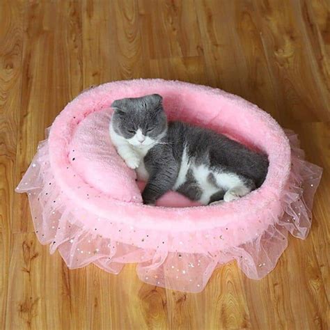 Lit De Princesse Pour Chat Boutique Chat