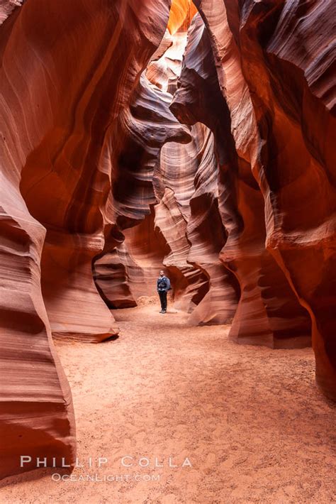 Photos of Antelope Canyon Slot Canyon – Natural History Photography Blog