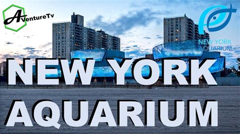 New York Aquarium Coney Island The Most Beautiful Aquariums In The