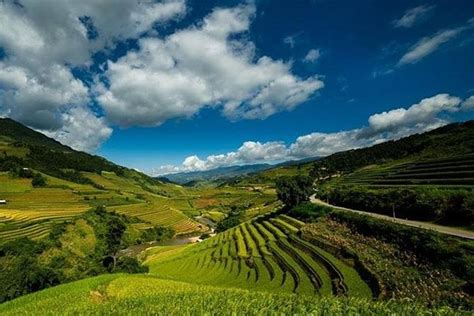 Amazing Mu Cang Chai Vietnam Tour Triphobo