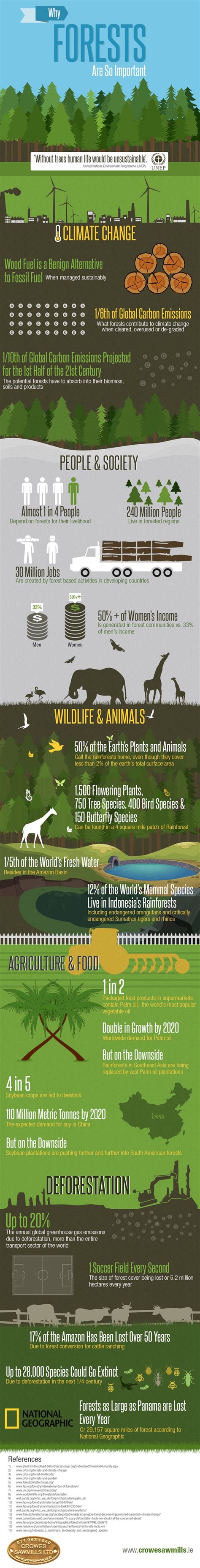 Infographic The Importance Of Forests Green Behavior