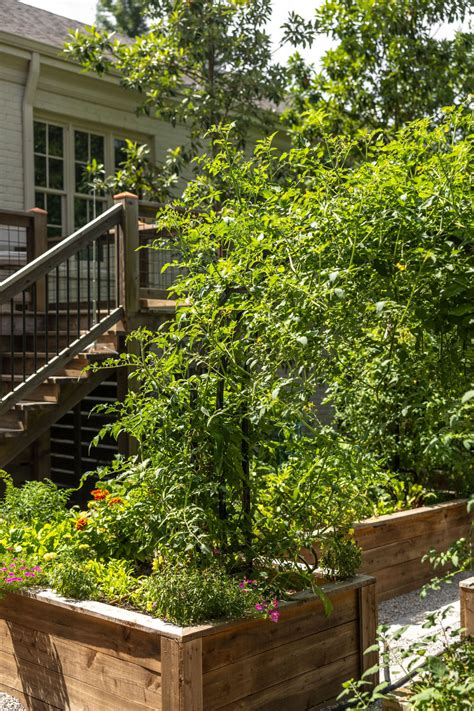 What Does My Gardening Zone Mean? • Gardenary