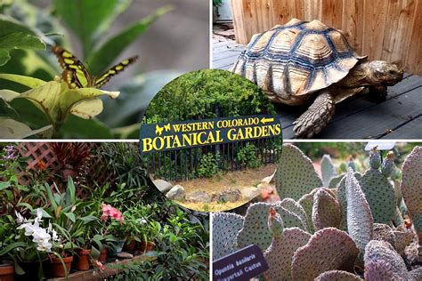 Take a Tour of the Beautiful Western Colorado Botanical Gardens